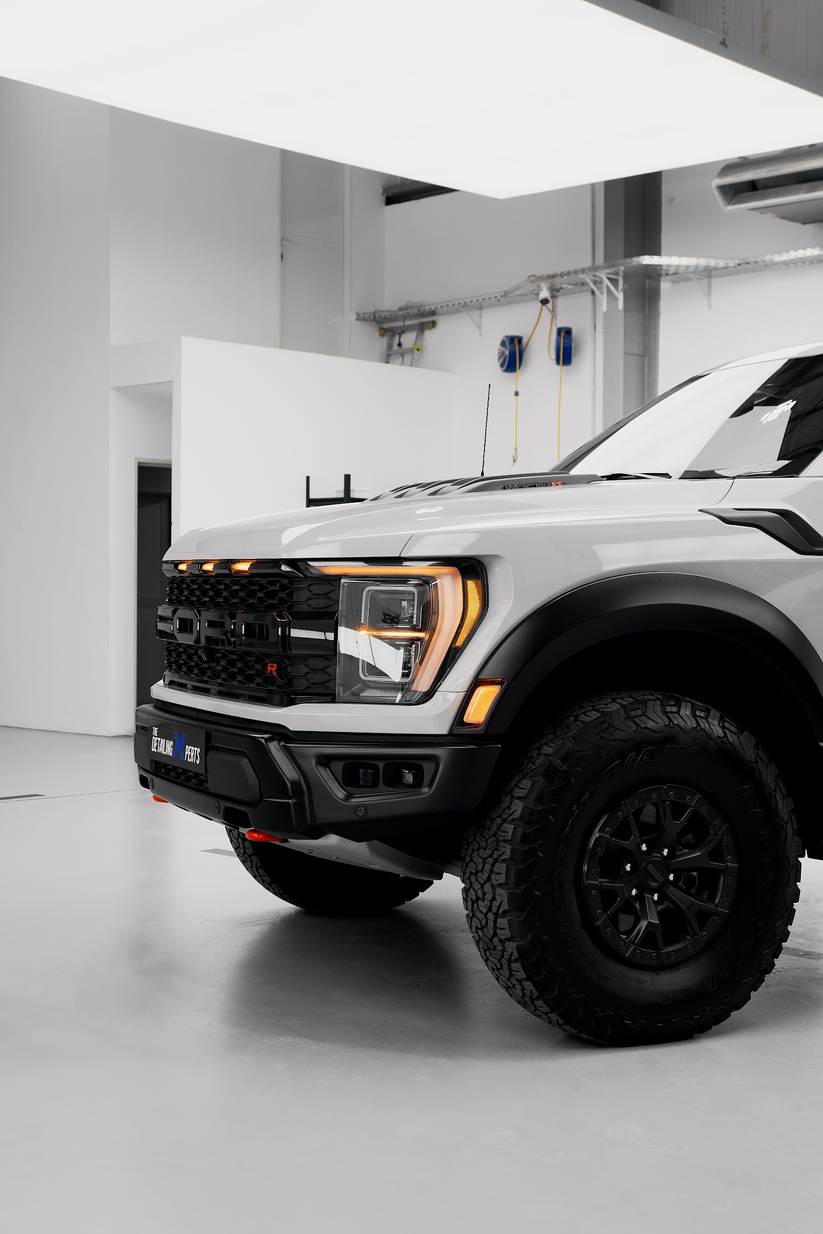 FORD F-150 RAPTOR (gray)