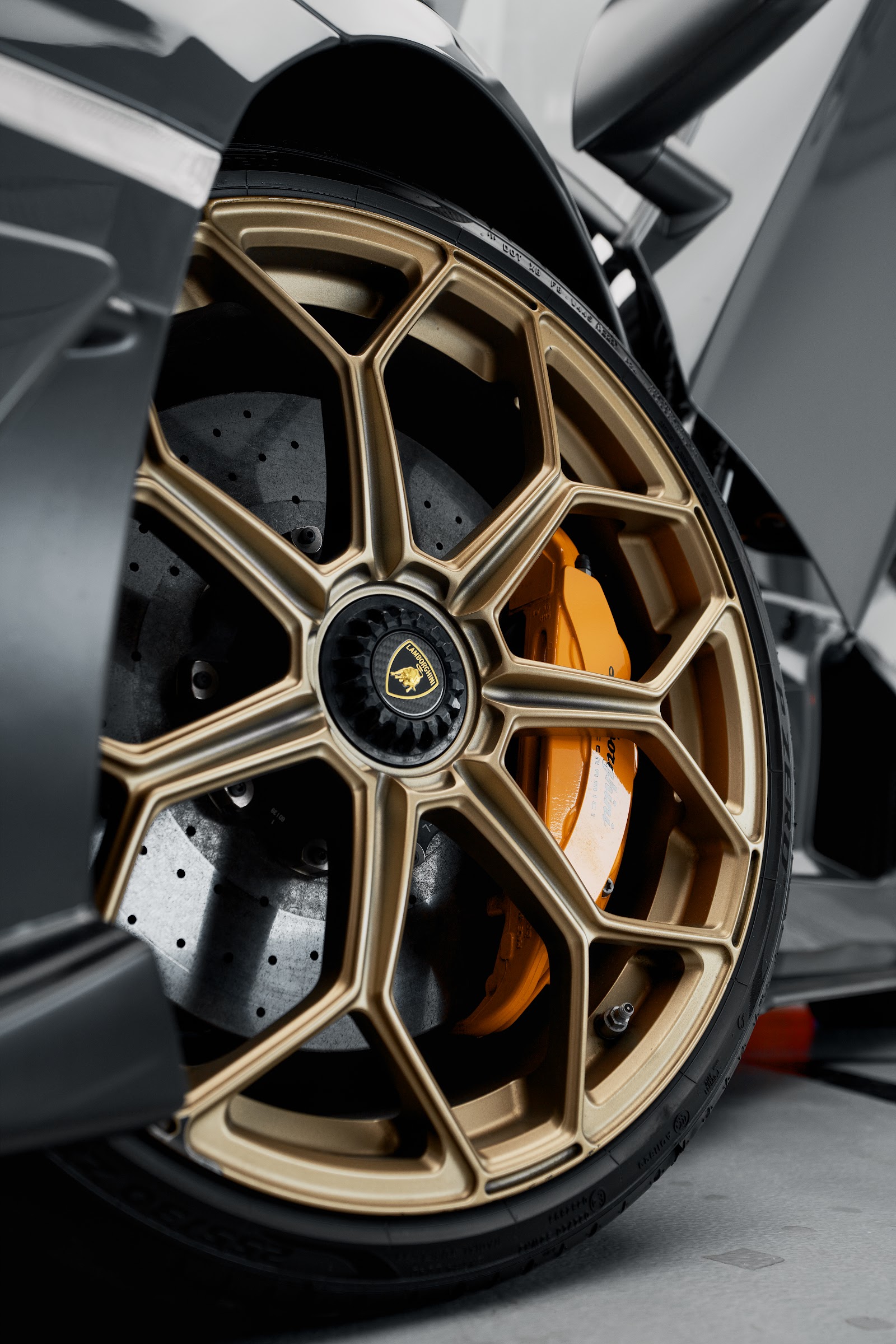 LAMBO AVENTADOR SVJ (gray)